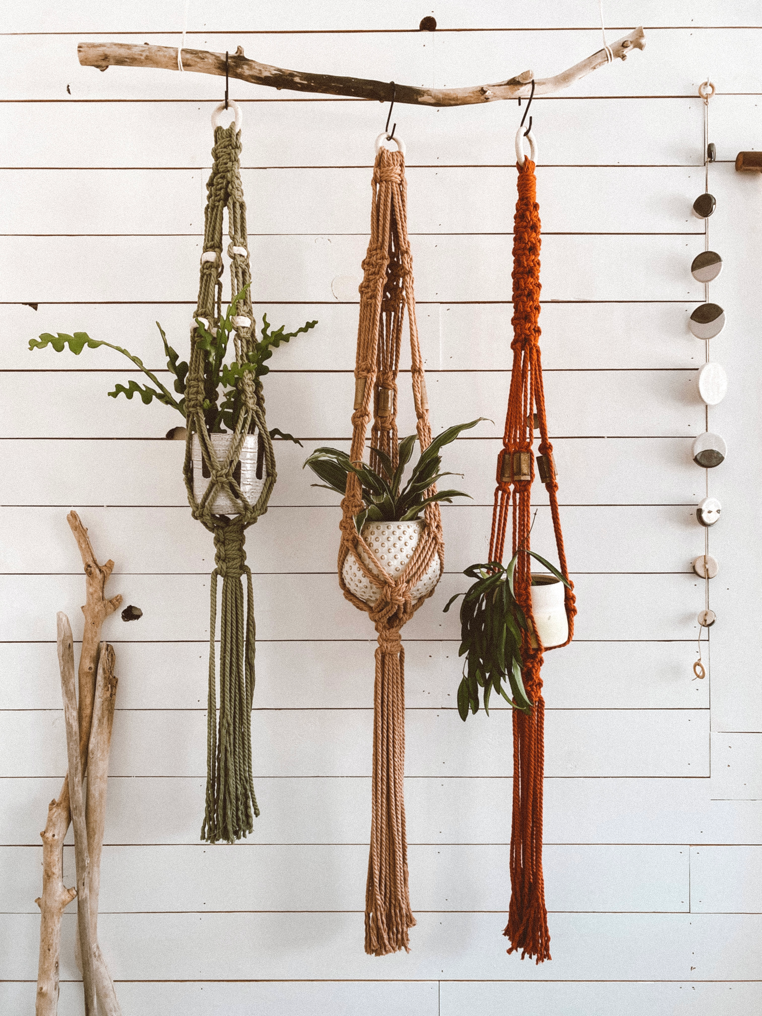 Plant Hangers